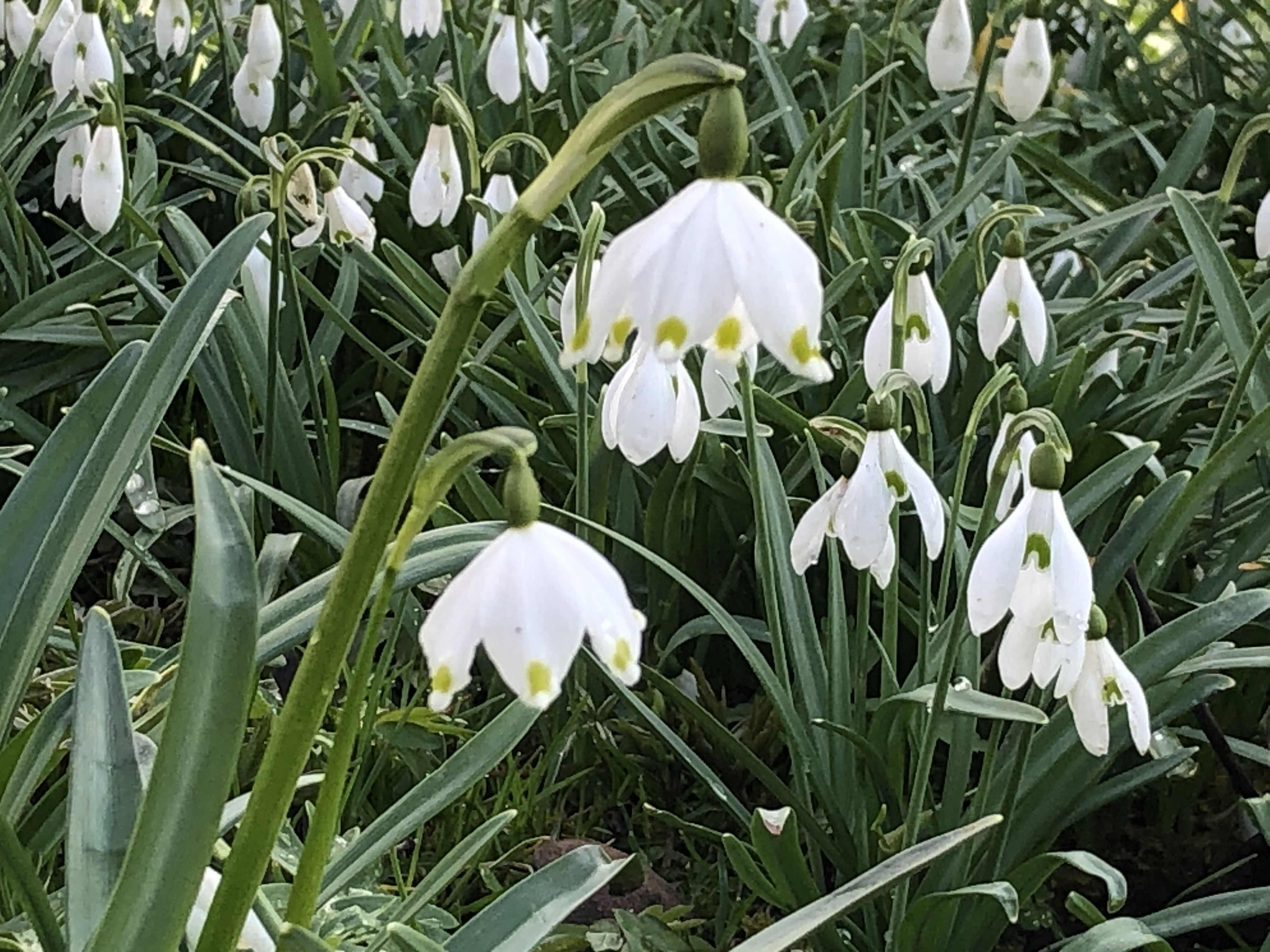 Wenn uns eine «Last von den Schultern» ein «Stein vom Herzen» fällt….